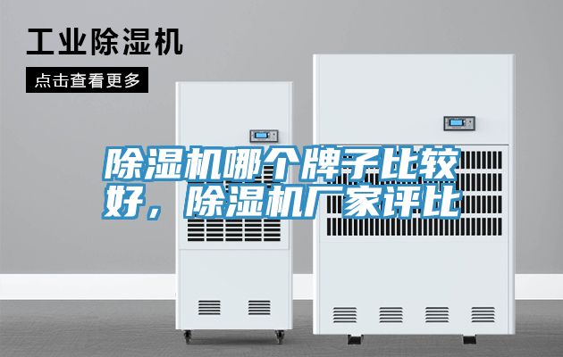 除濕機(jī)哪個(gè)牌子比較好，除濕機(jī)廠家評(píng)比