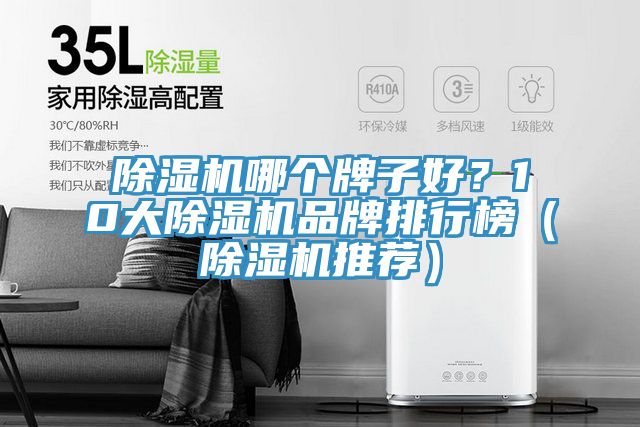 除濕機(jī)哪個(gè)牌子好？10大除濕機(jī)品牌排行榜（除濕機(jī)推薦）