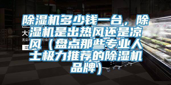 除濕機(jī)多少錢一臺(tái)，除濕機(jī)是出熱風(fēng)還是涼風(fēng)（盤點(diǎn)那些專業(yè)人士極力推薦的除濕機(jī)品牌）
