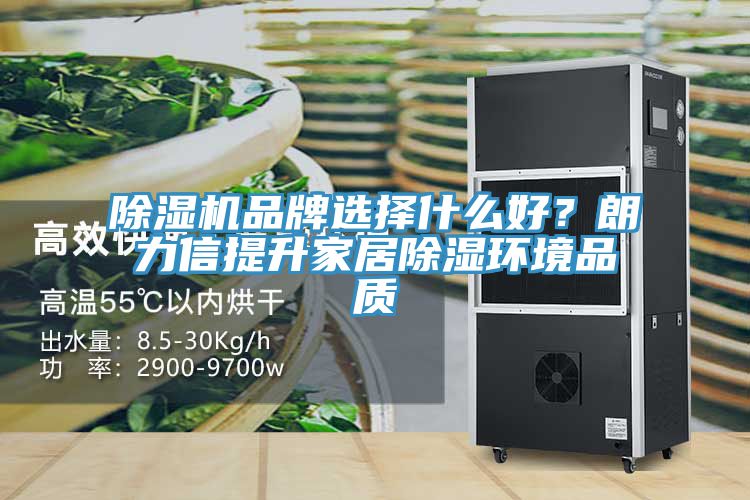 除濕機(jī)品牌選擇什么好？朗力信提升家居除濕環(huán)境品質(zhì)