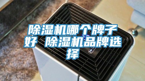 除濕機(jī)哪個(gè)牌子好 除濕機(jī)品牌選擇
