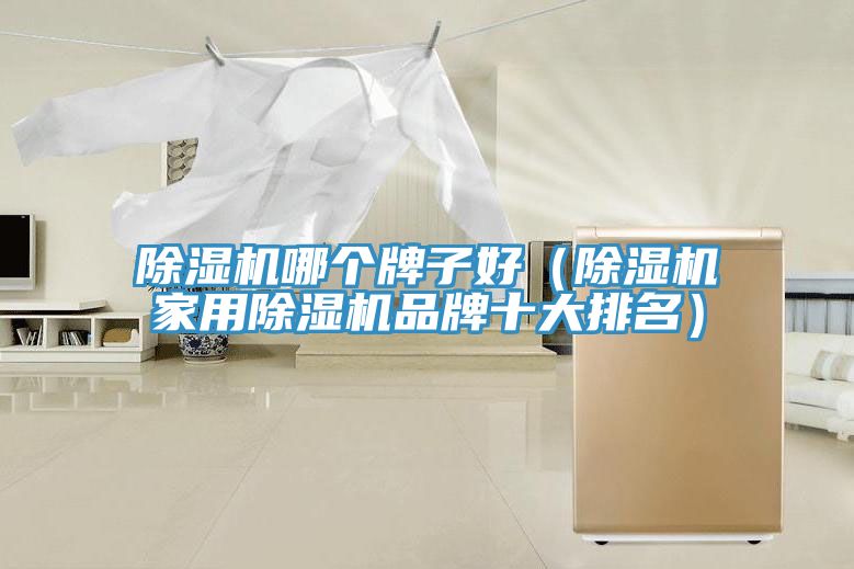 除濕機(jī)哪個(gè)牌子好（除濕機(jī)家用除濕機(jī)品牌十大排名）
