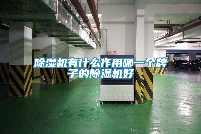 除濕機有什么作用哪一個牌子的除濕機好