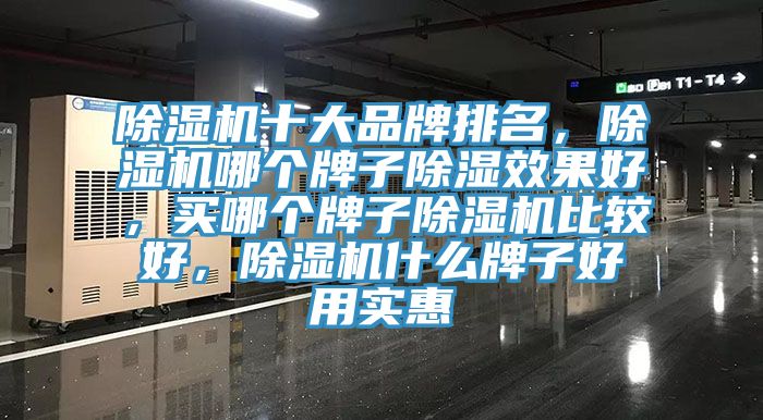 除濕機十大品牌排名，除濕機哪個牌子除濕效果好，買哪個牌子除濕機比較好，除濕機什么牌子好用實惠