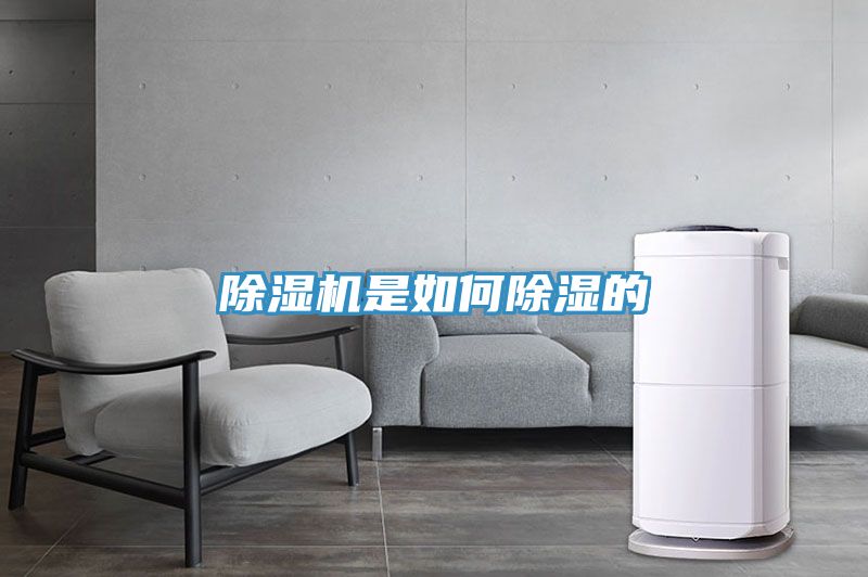 除濕機是如何除濕的