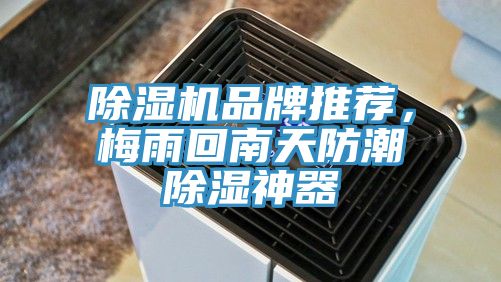 除濕機(jī)品牌推薦，梅雨回南天防潮除濕神器