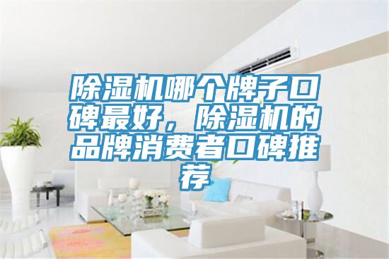 除濕機哪個牌子口碑最好，除濕機的品牌消費者口碑推薦