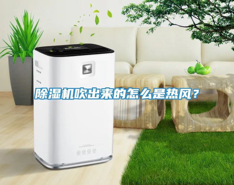 除濕機吹出來的怎么是熱風？
