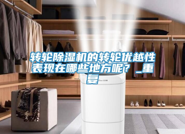 轉(zhuǎn)輪除濕機(jī)的轉(zhuǎn)輪優(yōu)越性表現(xiàn)在哪些地方呢？_重復(fù)