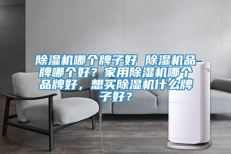 除濕機(jī)哪個(gè)牌子好 除濕機(jī)品牌哪個(gè)好？家用除濕機(jī)哪個(gè)品牌好，想買(mǎi)除濕機(jī)什么牌子好？