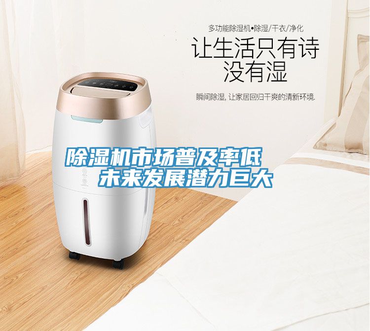 除濕機市場普及率低   未來發(fā)展?jié)摿薮?></div>
								<div   id=