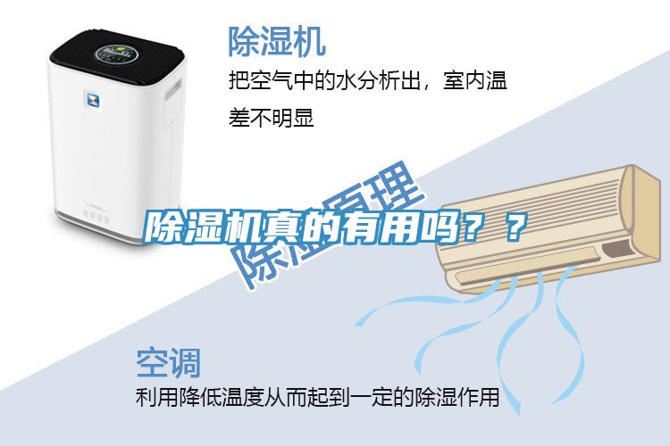 除濕機真的有用嗎？？