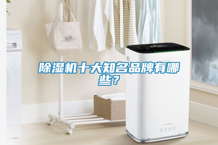 除濕機(jī)十大知名品牌有哪些？