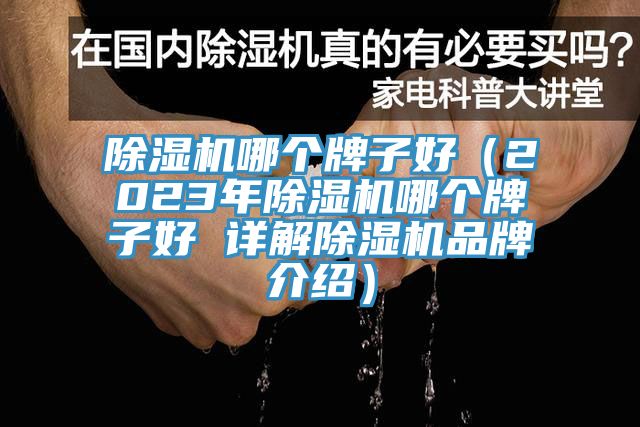 除濕機(jī)哪個(gè)牌子好（2023年除濕機(jī)哪個(gè)牌子好 詳解除濕機(jī)品牌介紹）
