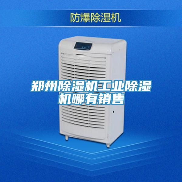 鄭州除濕機(jī)工業(yè)除濕機(jī)哪有銷售