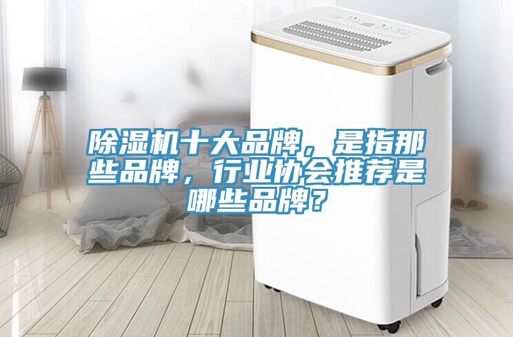 除濕機(jī)十大品牌，是指那些品牌，行業(yè)協(xié)會(huì)推薦是哪些品牌？