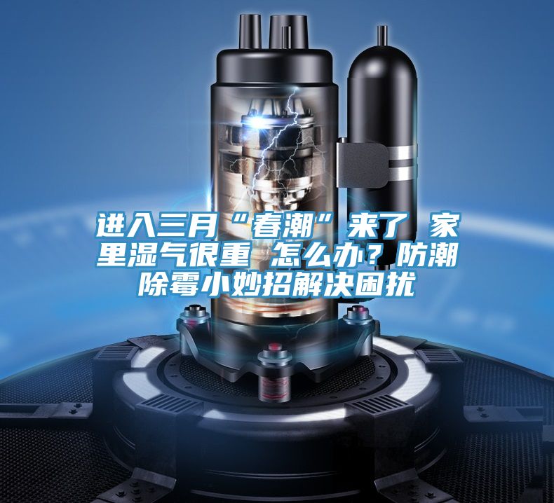 進(jìn)入三月“春潮”來(lái)了 家里濕氣很重 怎么辦？防潮除霉小妙招解決困擾