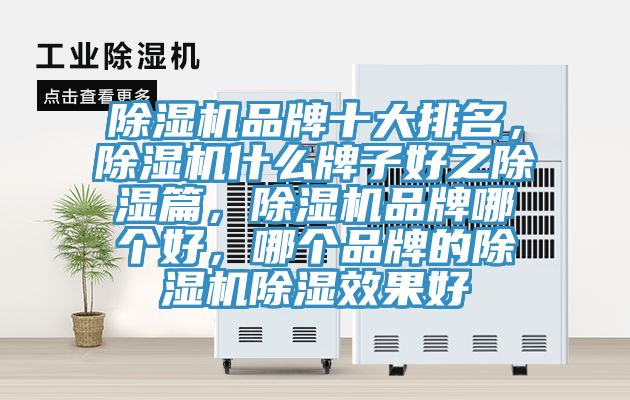 除濕機(jī)品牌十大排名，除濕機(jī)什么牌子好之除濕篇，除濕機(jī)品牌哪個好，哪個品牌的除濕機(jī)除濕效果好