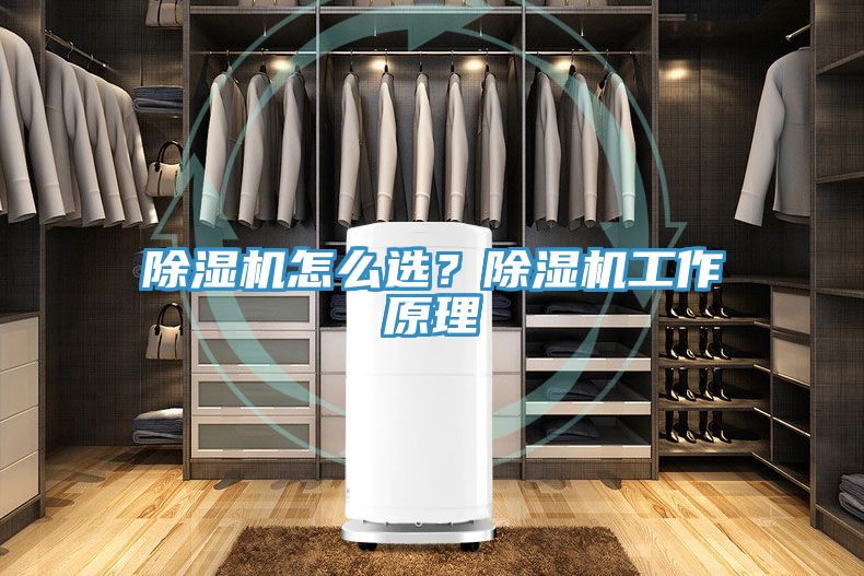 除濕機怎么選？除濕機工作原理
