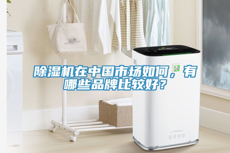 除濕機(jī)在中國(guó)市場(chǎng)如何，有哪些品牌比較好？