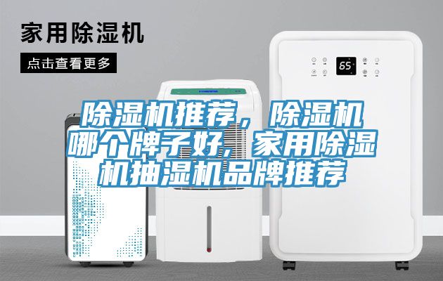 除濕機(jī)推薦，除濕機(jī)哪個(gè)牌子好, 家用除濕機(jī)抽濕機(jī)品牌推薦