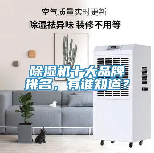 除濕機十大品牌排名，有誰知道？