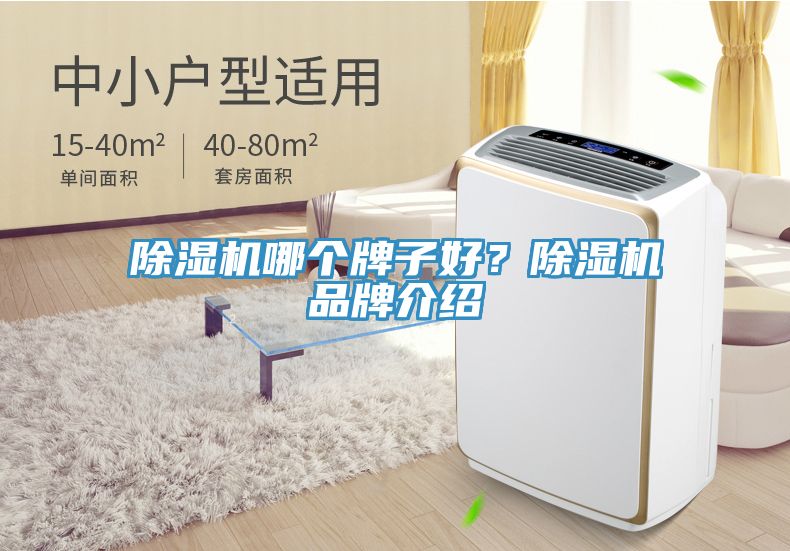 除濕機(jī)哪個(gè)牌子好？除濕機(jī)品牌介紹