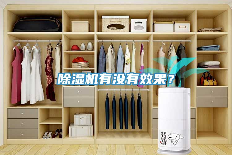 除濕機有沒有效果？