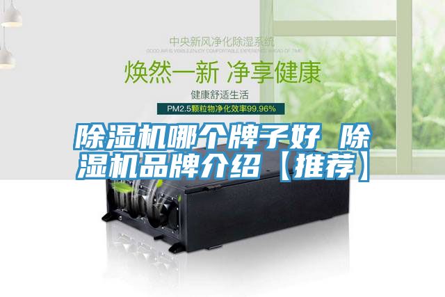 除濕機(jī)哪個(gè)牌子好 除濕機(jī)品牌介紹【推薦】