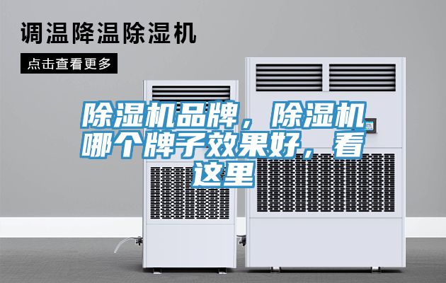 除濕機(jī)品牌，除濕機(jī)哪個牌子效果好，看這里