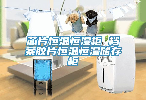 芯片恒溫恒濕柜 檔案膠片恒溫恒濕儲(chǔ)存柜