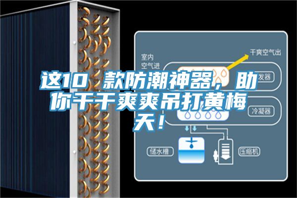 這10 款防潮神器，助你干干爽爽吊打黃梅天！