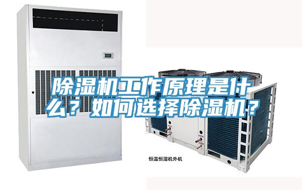 除濕機工作原理是什么？如何選擇除濕機？