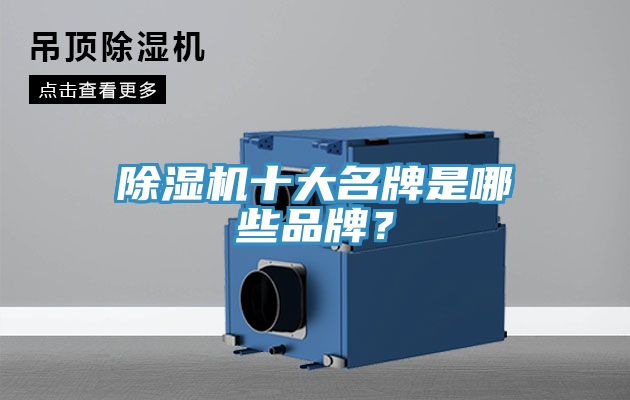 除濕機(jī)十大名牌是哪些品牌？