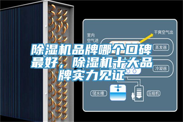 除濕機(jī)品牌哪個口碑最好，除濕機(jī)十大品牌實力見證