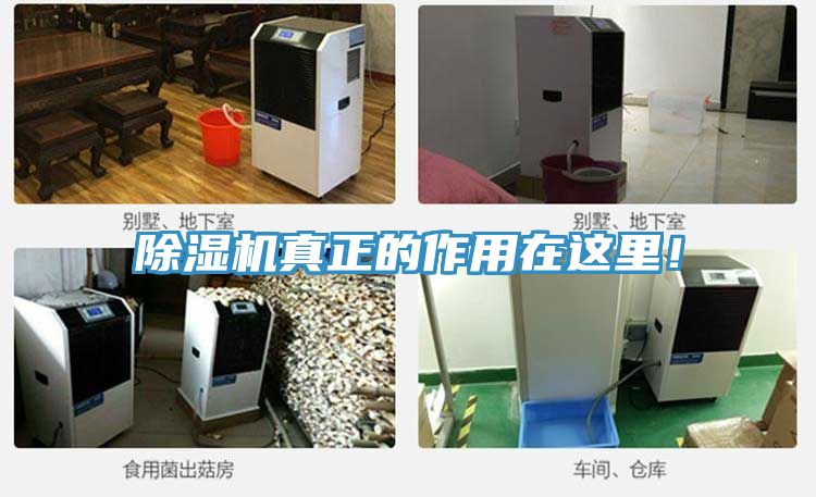 除濕機真正的作用在這里！