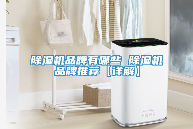 除濕機(jī)品牌有哪些 除濕機(jī)品牌推薦【詳解】
