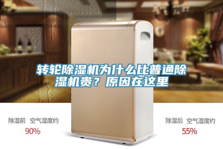 轉(zhuǎn)輪除濕機(jī)為什么比普通除濕機(jī)貴？原因在這里