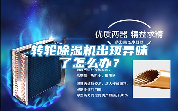 轉輪除濕機出現(xiàn)異味了怎么辦？