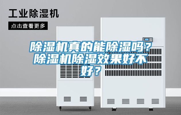 除濕機(jī)真的能除濕嗎？除濕機(jī)除濕效果好不好？