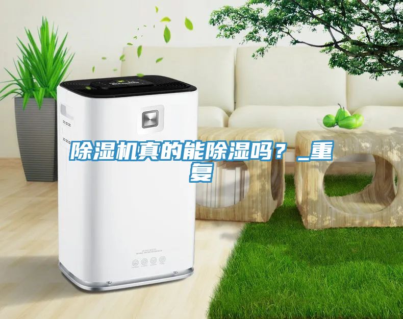 除濕機(jī)真的能除濕嗎？_重復(fù)