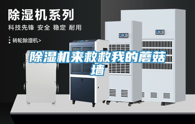 除濕機來救救我的蘑菇墻