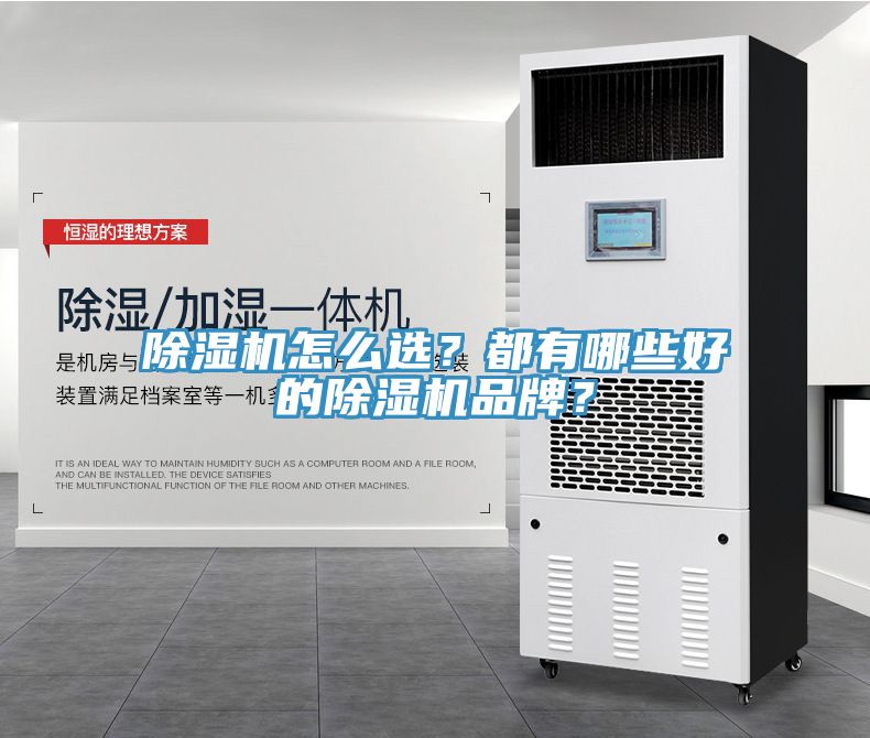 除濕機(jī)怎么選？都有哪些好的除濕機(jī)品牌？