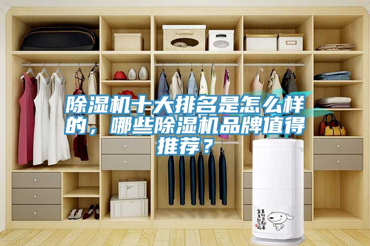 除濕機(jī)十大排名是怎么樣的，哪些除濕機(jī)品牌值得推薦？