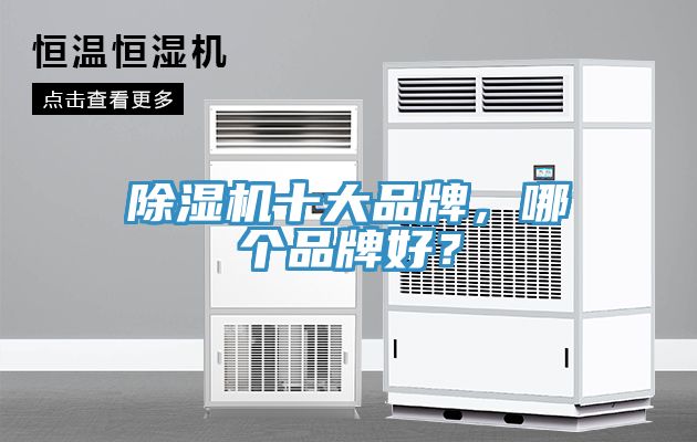 除濕機(jī)十大品牌，哪個(gè)品牌好？
