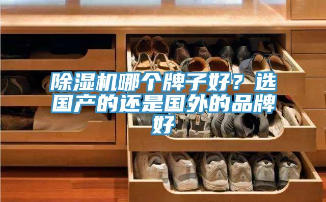 除濕機(jī)哪個(gè)牌子好？選國(guó)產(chǎn)的還是國(guó)外的品牌好