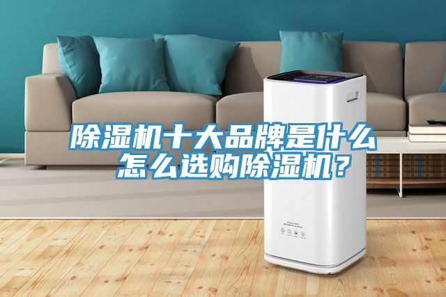 除濕機(jī)十大品牌是什么 怎么選購除濕機(jī)？
