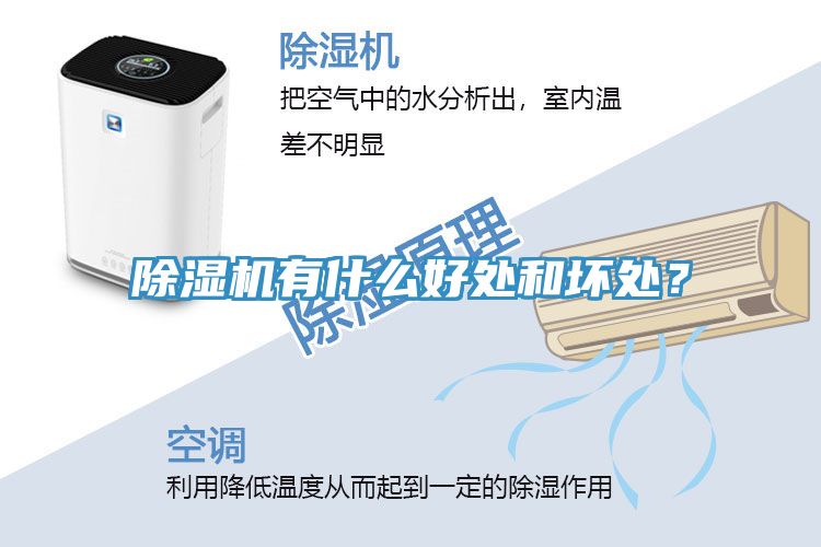 除濕機有什么好處和壞處？