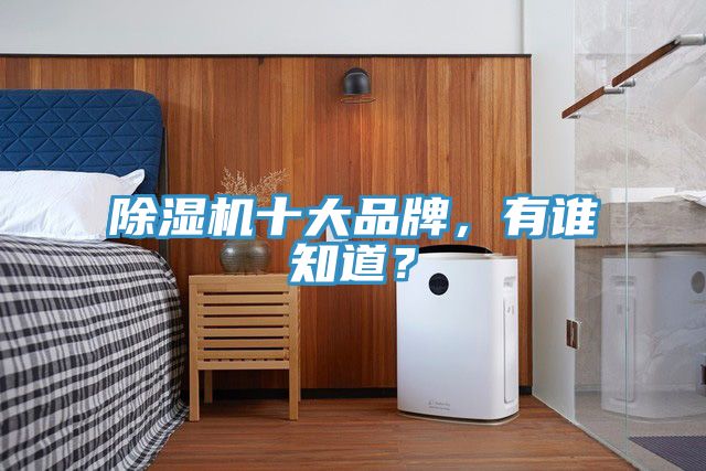 除濕機(jī)十大品牌，有誰知道？