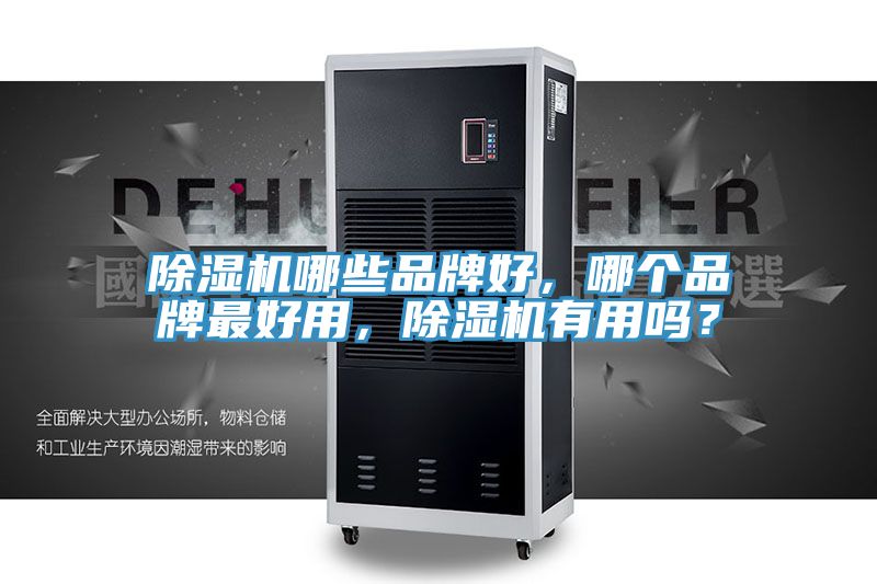 除濕機(jī)哪些品牌好，哪個(gè)品牌最好用，除濕機(jī)有用嗎？